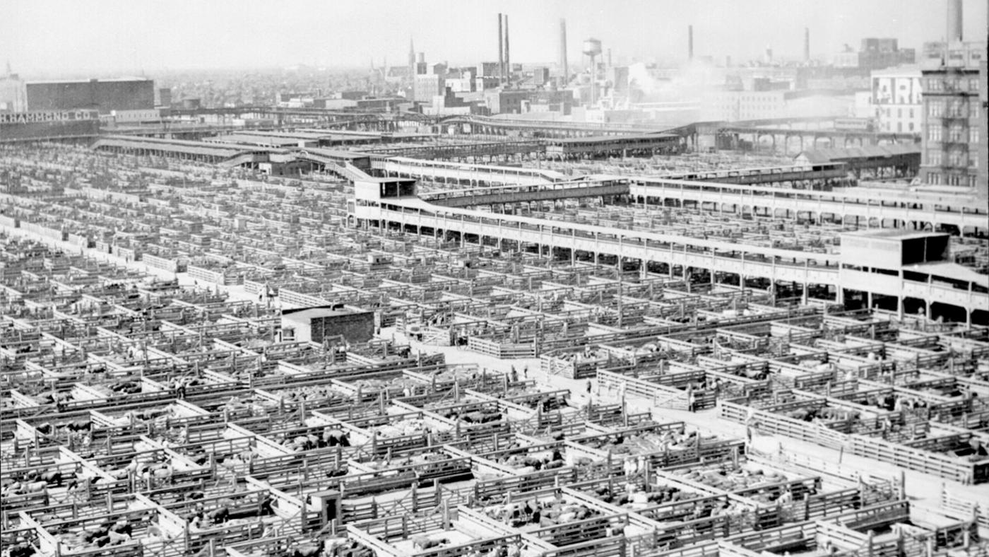 Chicago's Union Stock Yards in 1947