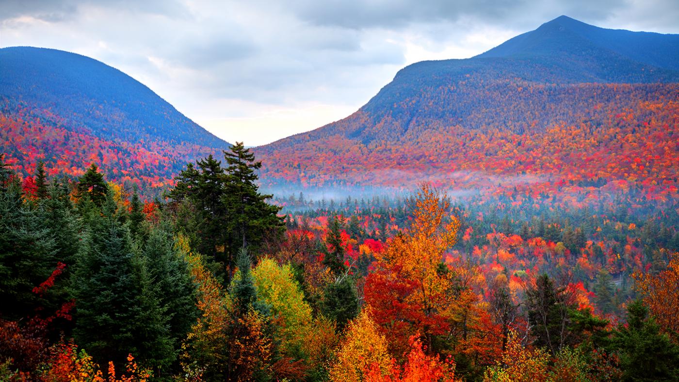 Autumnwatch New England. Photo: Denis Tangney Jr./Getty Images