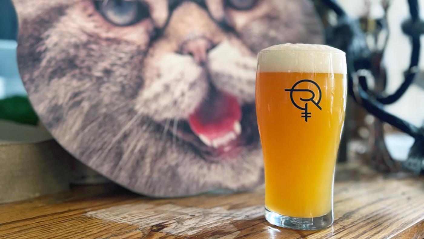 A beer with an illustration of a cat behind it