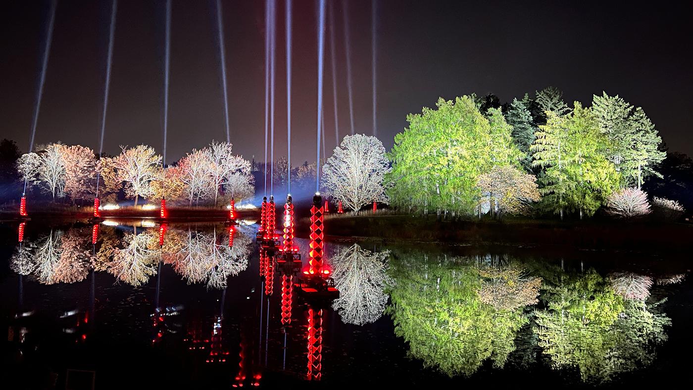 Trees illuminated at the Morton Arboretum