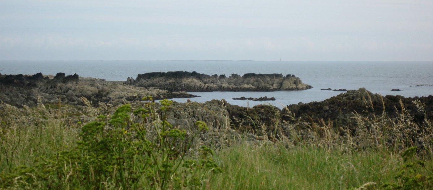 The coast of the Ards Peninsula, outside the village of Kearney.